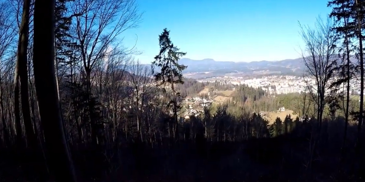 Koželj Panorama