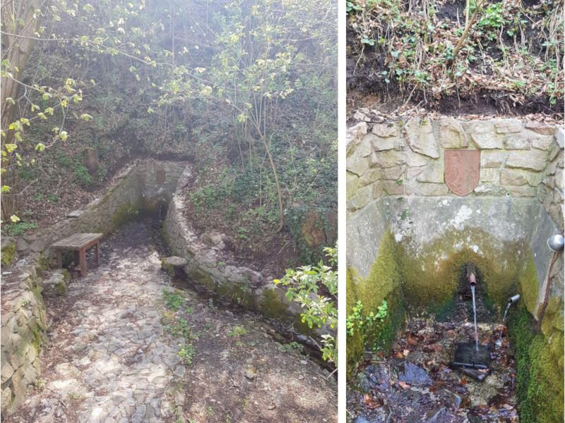 View enlarged image Tresimir Spring