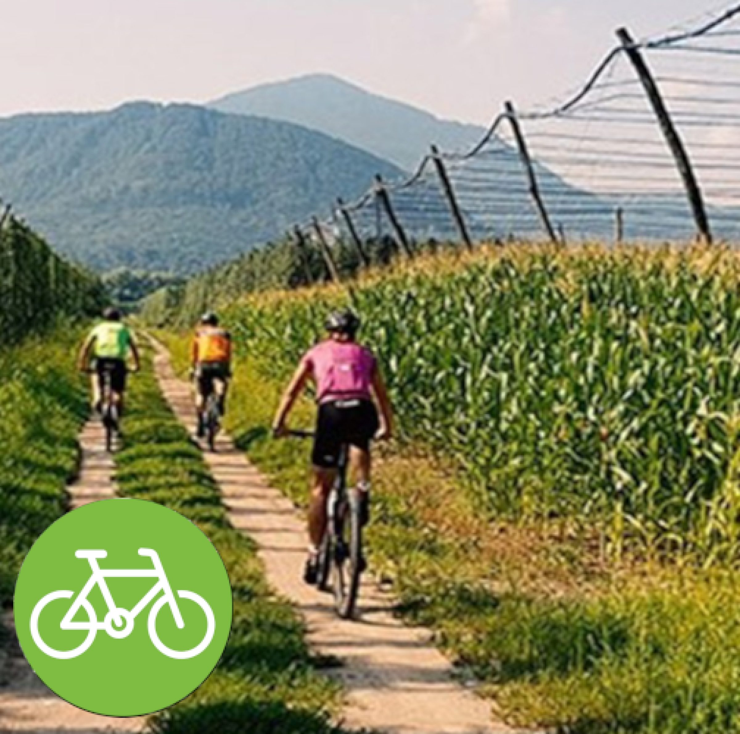 View enlarged image Cycling Routes in the Lower Savinjska Valley