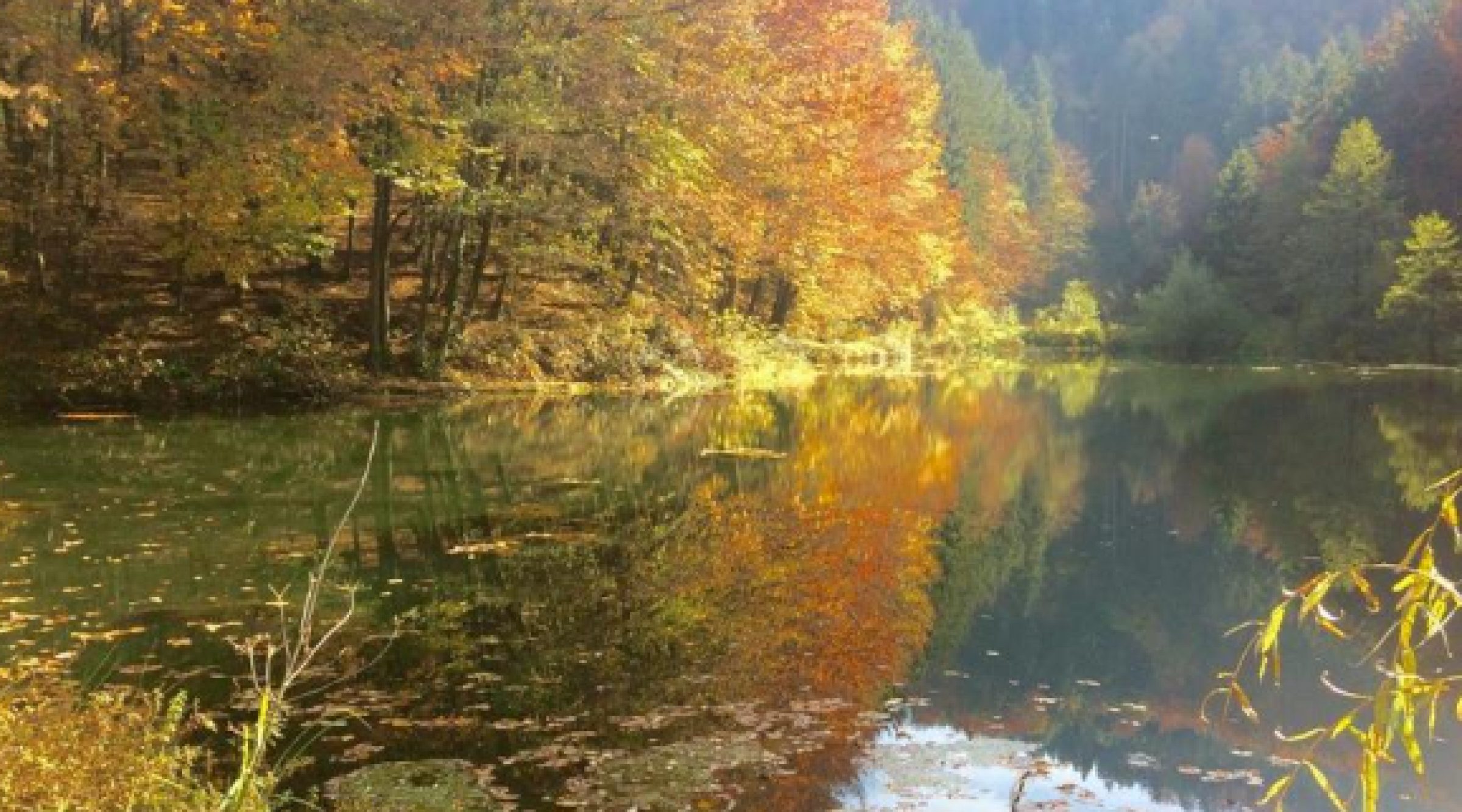 Prebold Pond View enlarged image Prebold Pond