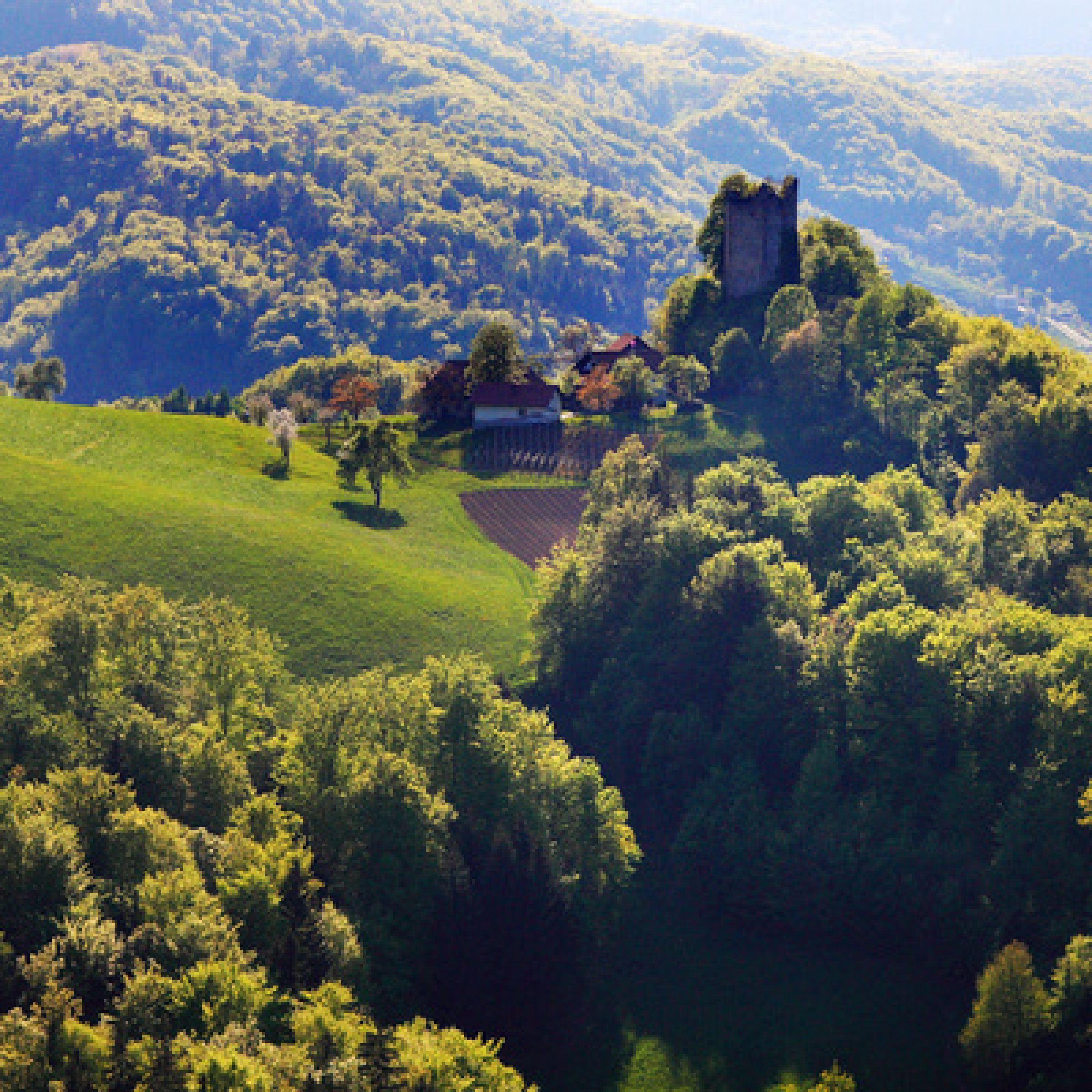 Ruins of Rifnik Castle View enlarged image Ruins of Rifnik Castle