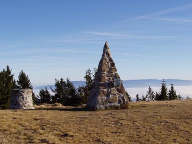 View enlarged image