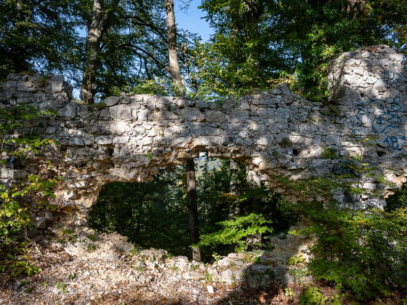 Ruins of Eknštajn Castle View enlarged image Ruins of Eknštajn Castle