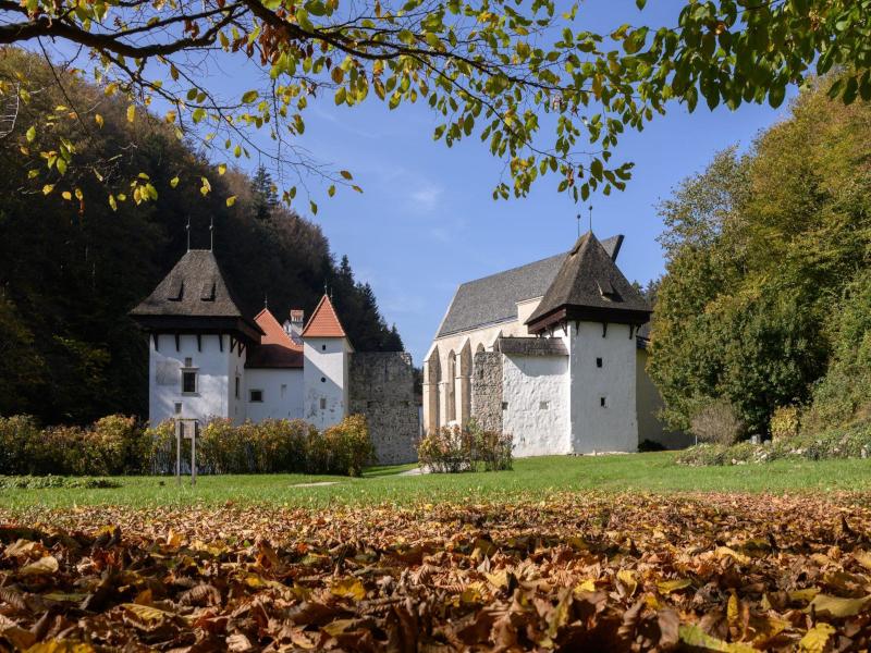 Žiče Charterhouse View enlarged image Žiče Charterhouse