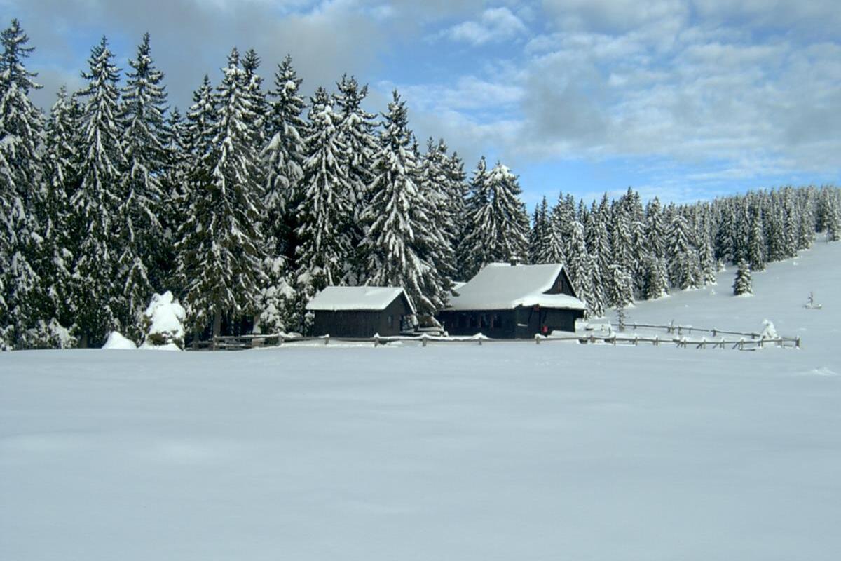Koča na Travniku Koča na Travniku