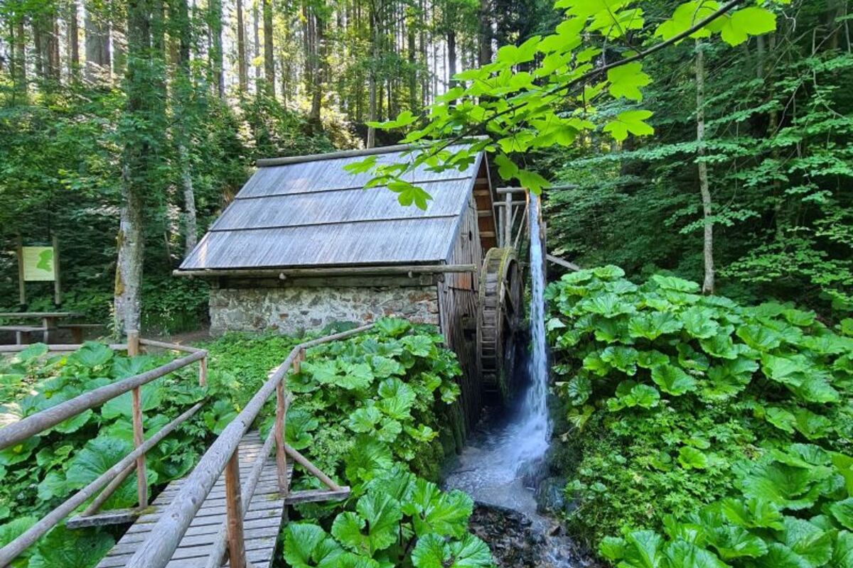 Rep Waterfall Rep Waterfall