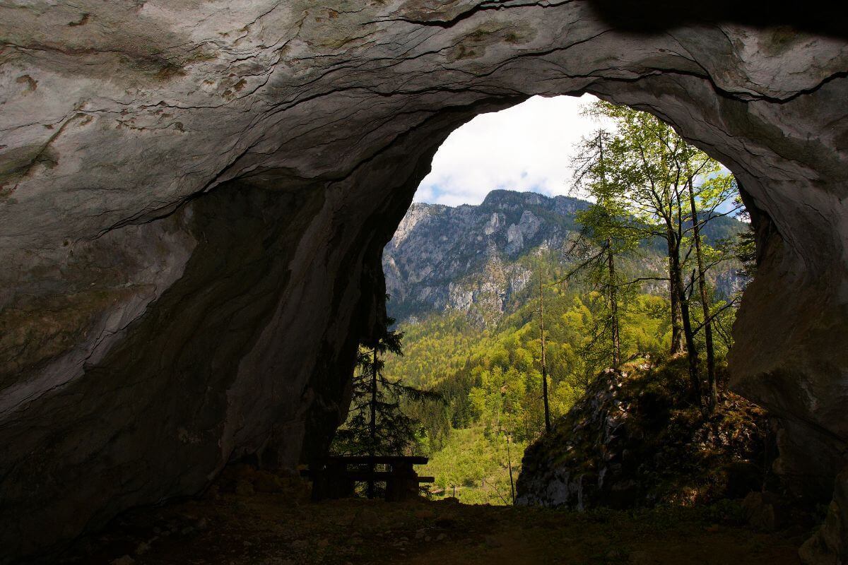 Erjavec Cave Erjavec Cave