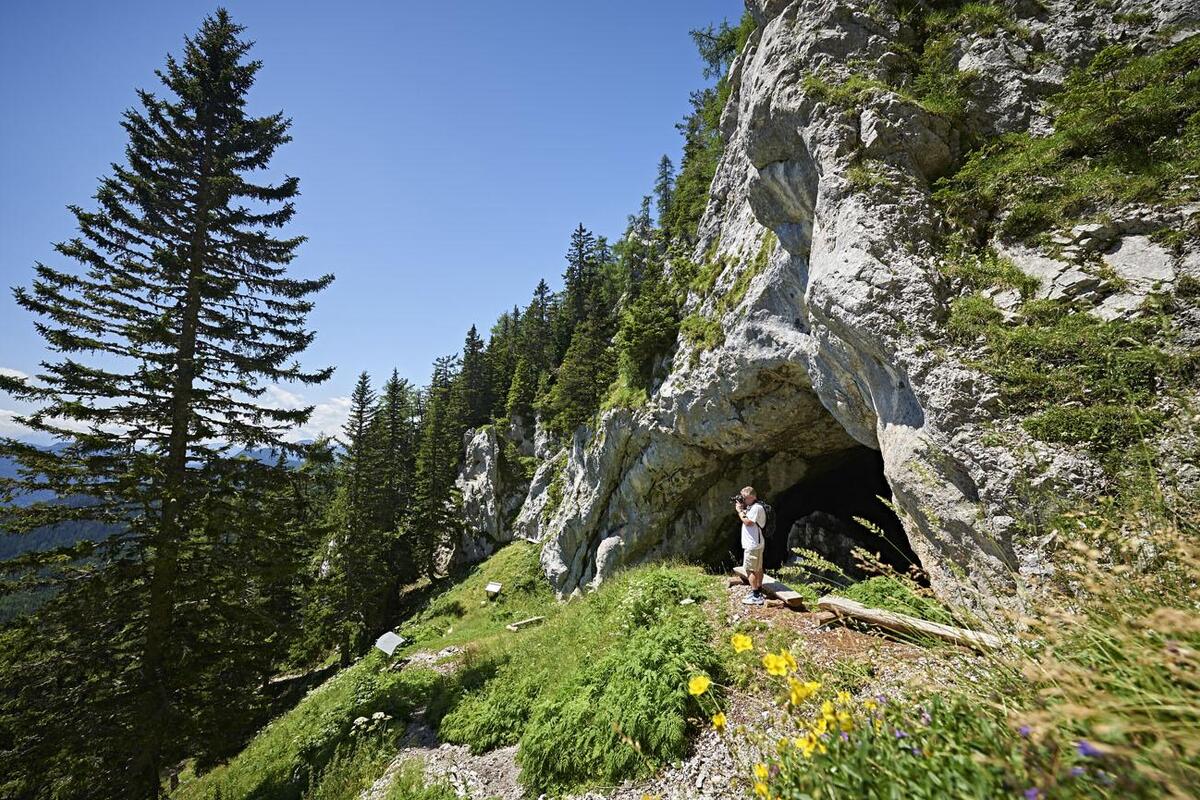 Potočka Zijalka Potočka Zijalka