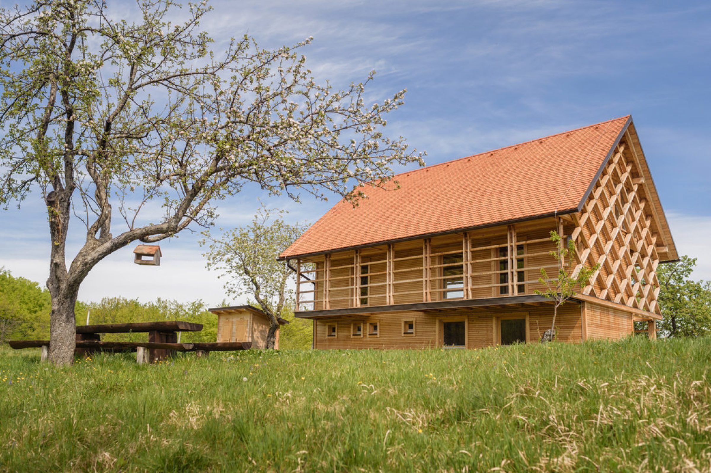 Ogled povečano sliko Kolekcijskem sadovnjaku Kozjanskega parka
