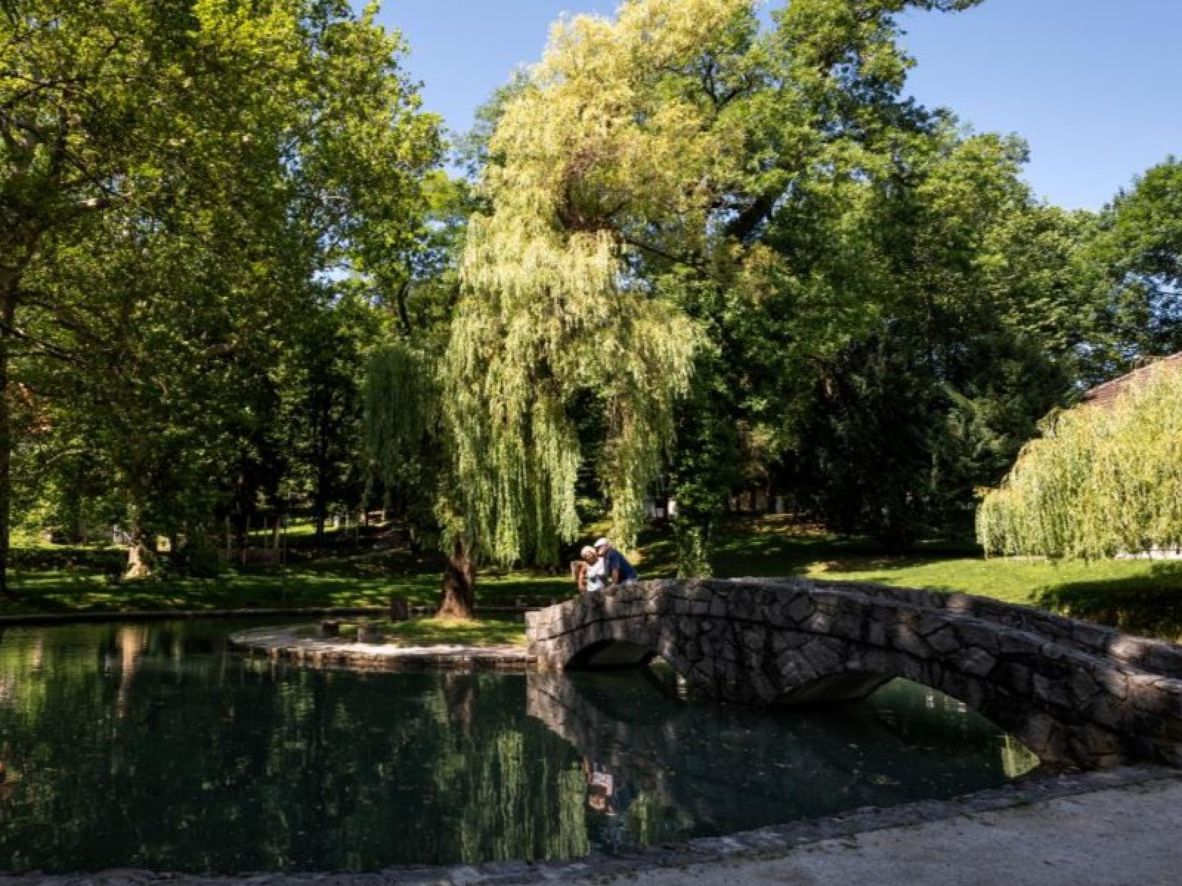 Ogled povečano sliko MESTNI PARK