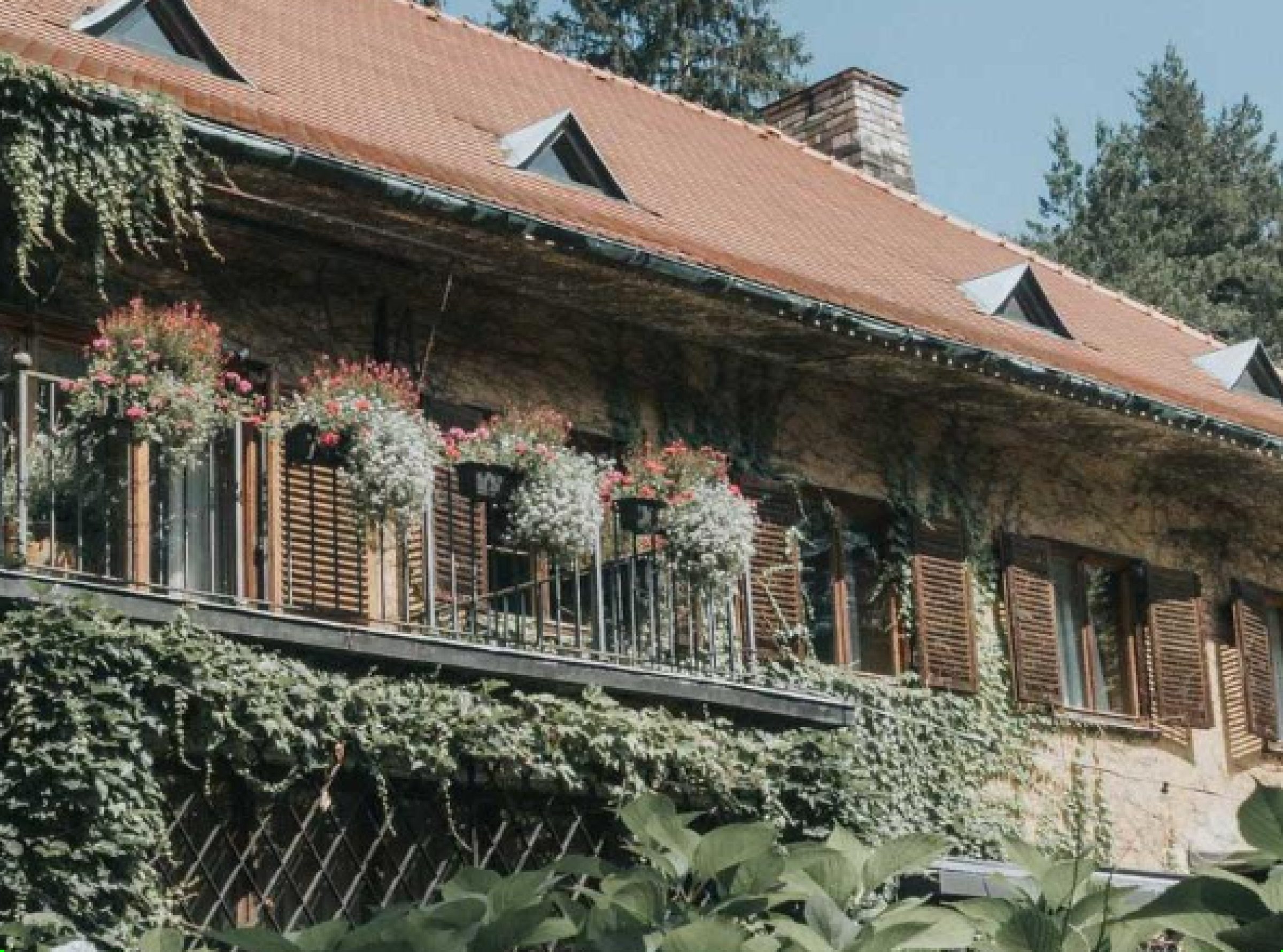 Ogled povečano sliko Vila Široko