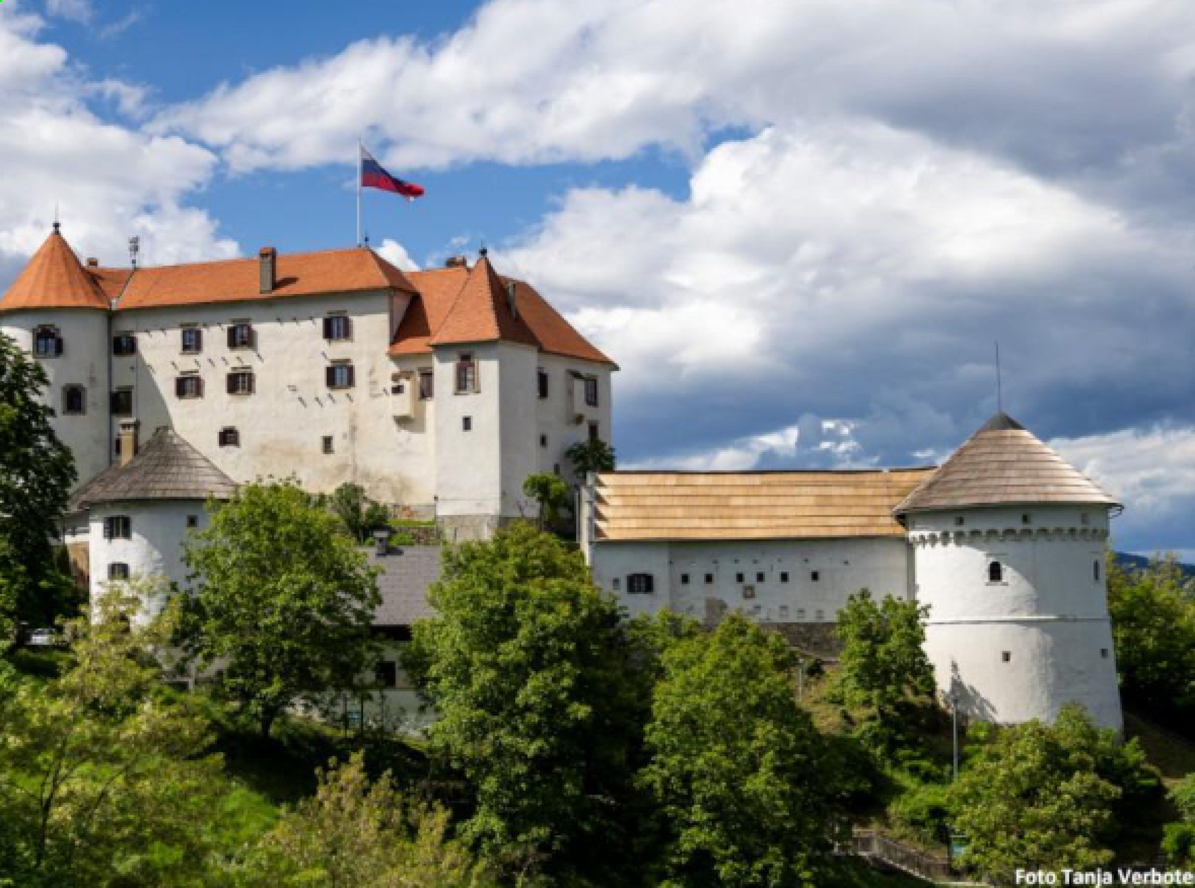 Ogled povečano sliko 15.111629