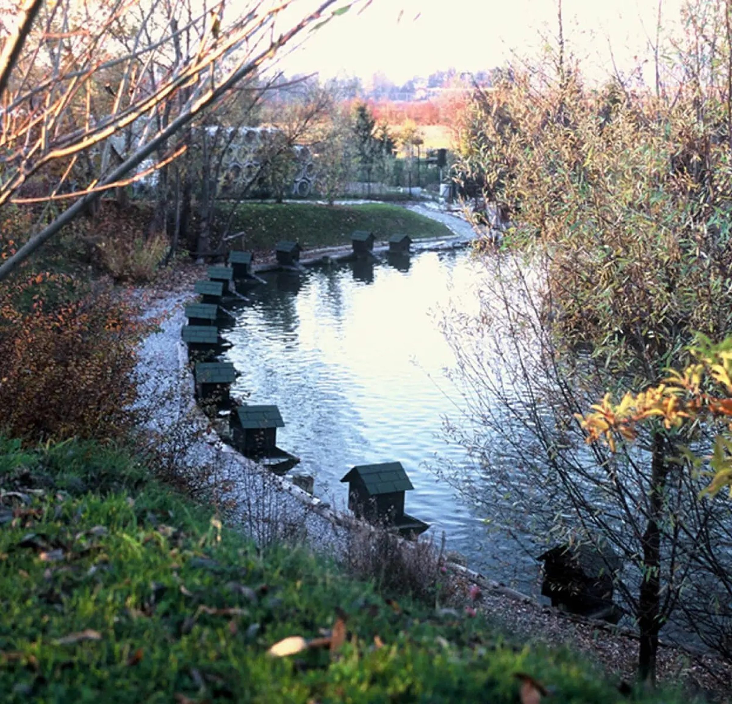 Ogled povečano sliko Bio park Nivo