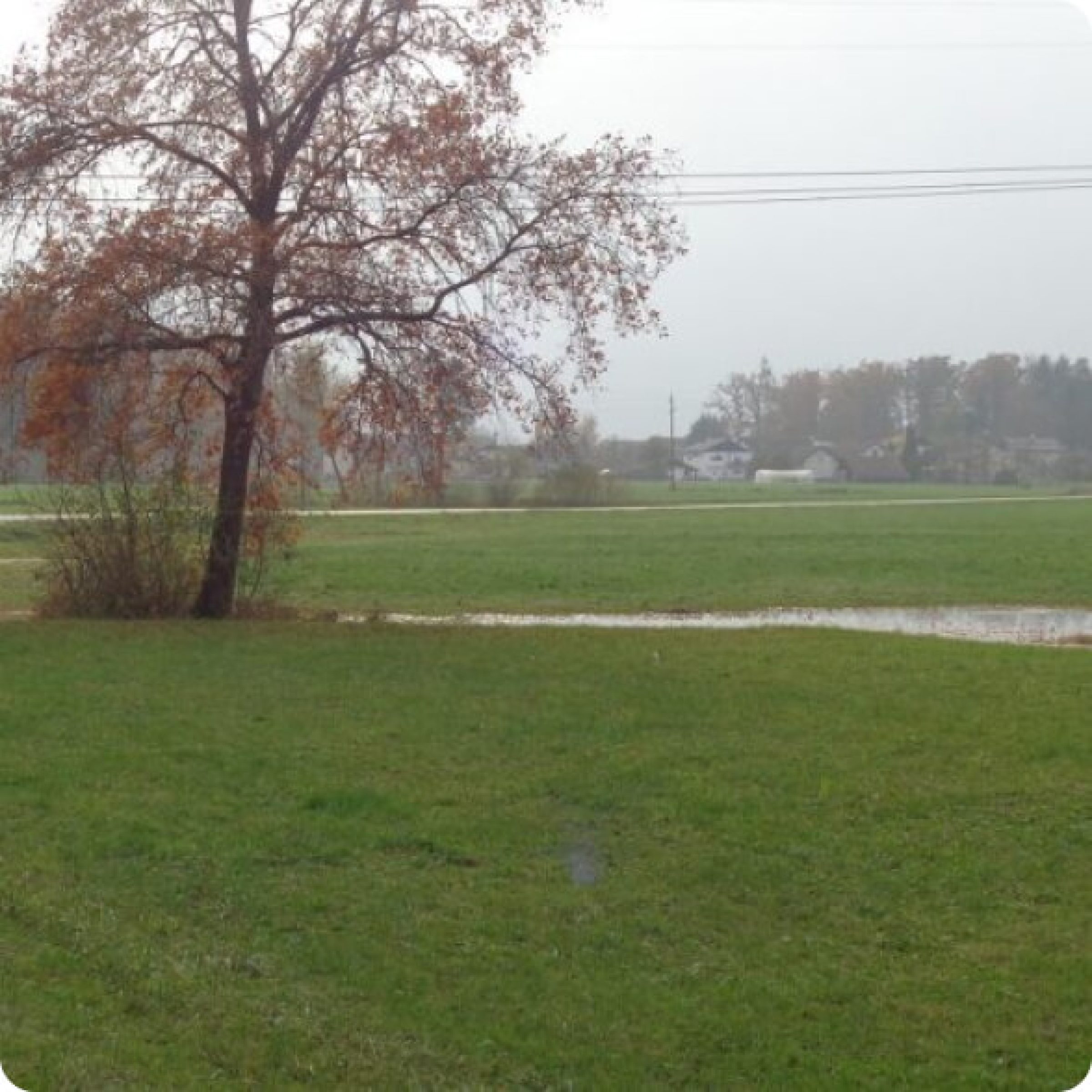 Ogled povečano sliko Naravni park Ložnica