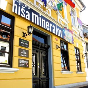 Ogled povečano sliko