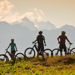 Ogled povečano sliko Trgovina Beli Zajec