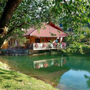 Ogled povečano sliko