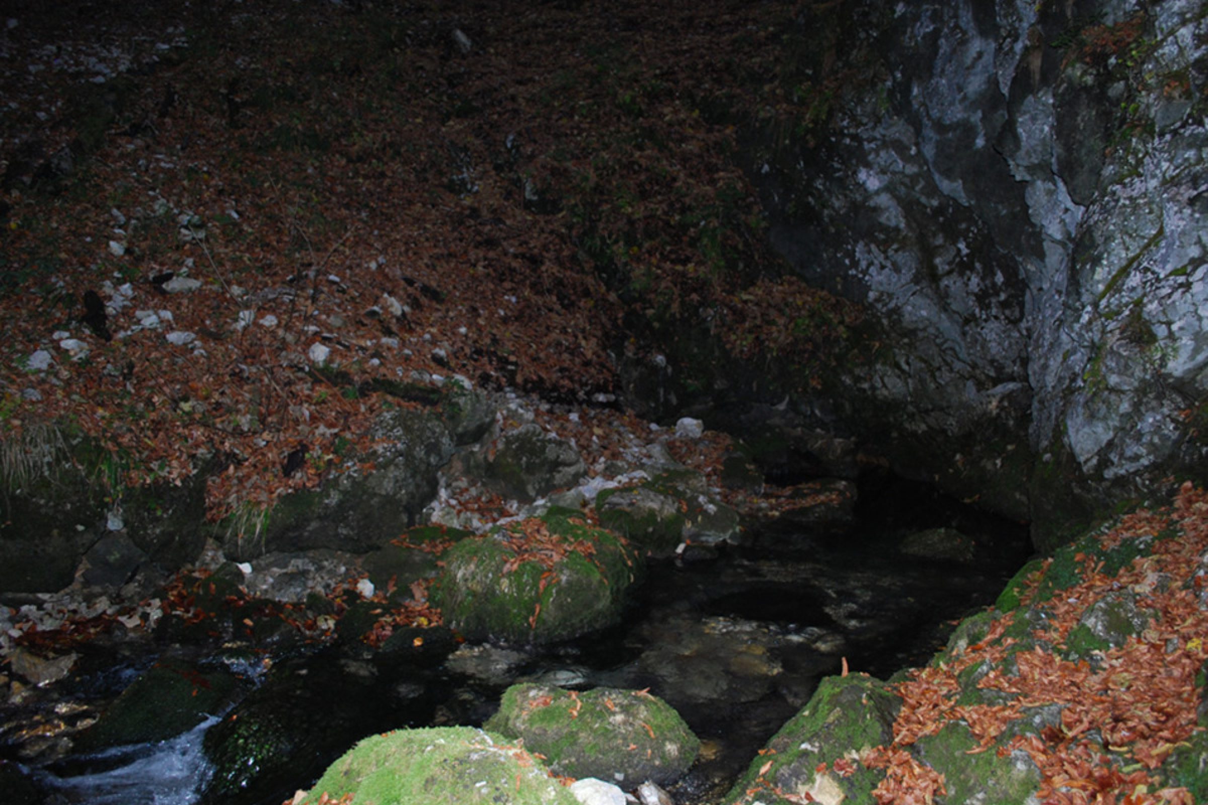 Ogled povečano sliko Izvir Ljubije