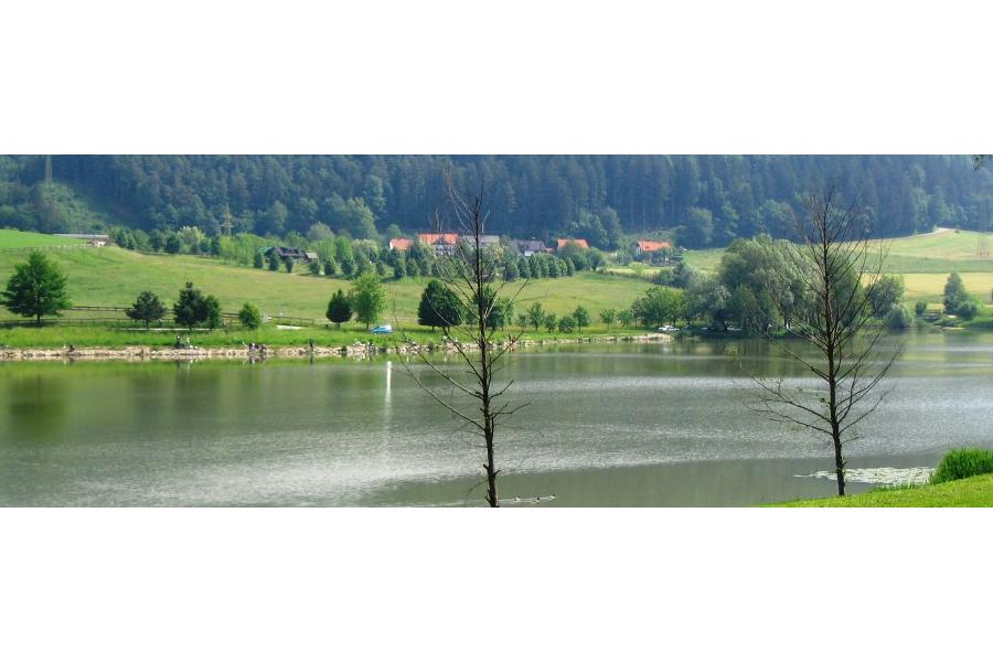 Ogled povečano sliko Škalsko jezero