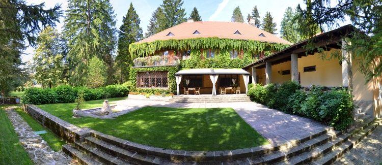 Ogled povečano sliko