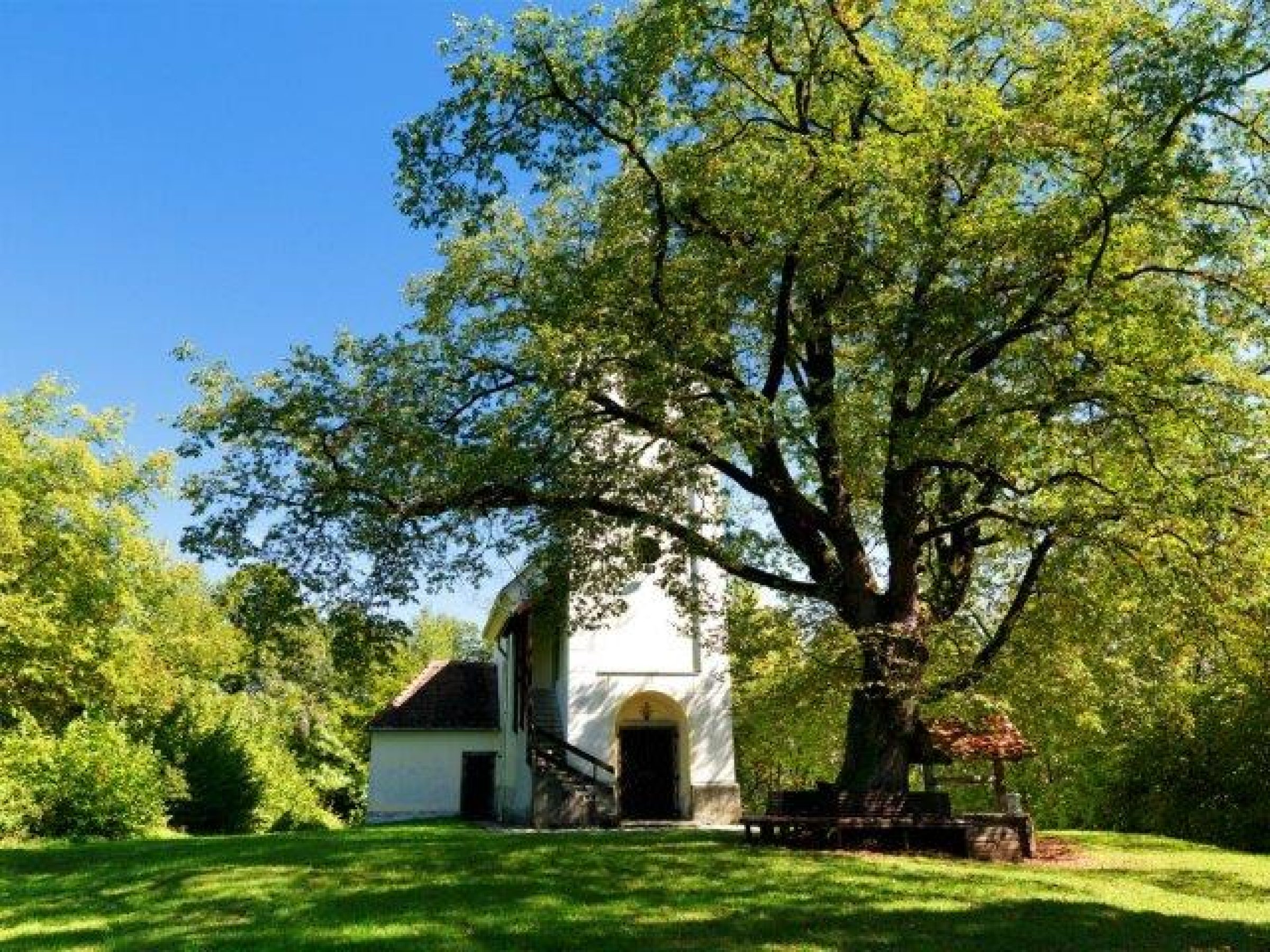 Ogled povečano sliko Tomaža pri Sv. Tomažu nad Vojnikom
