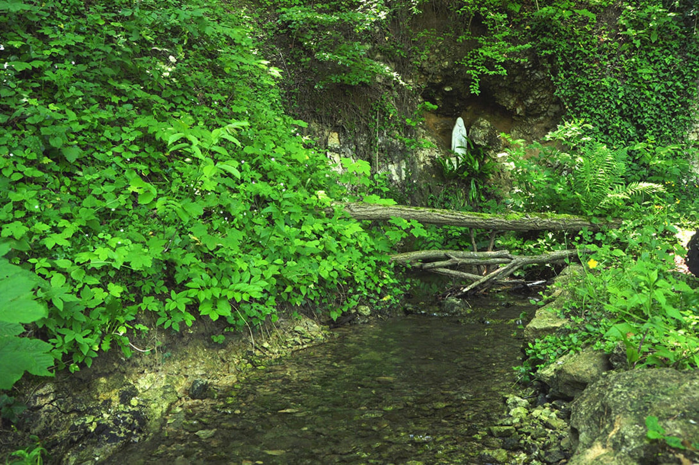 Ogled povečano sliko Kraški izvir Davjek