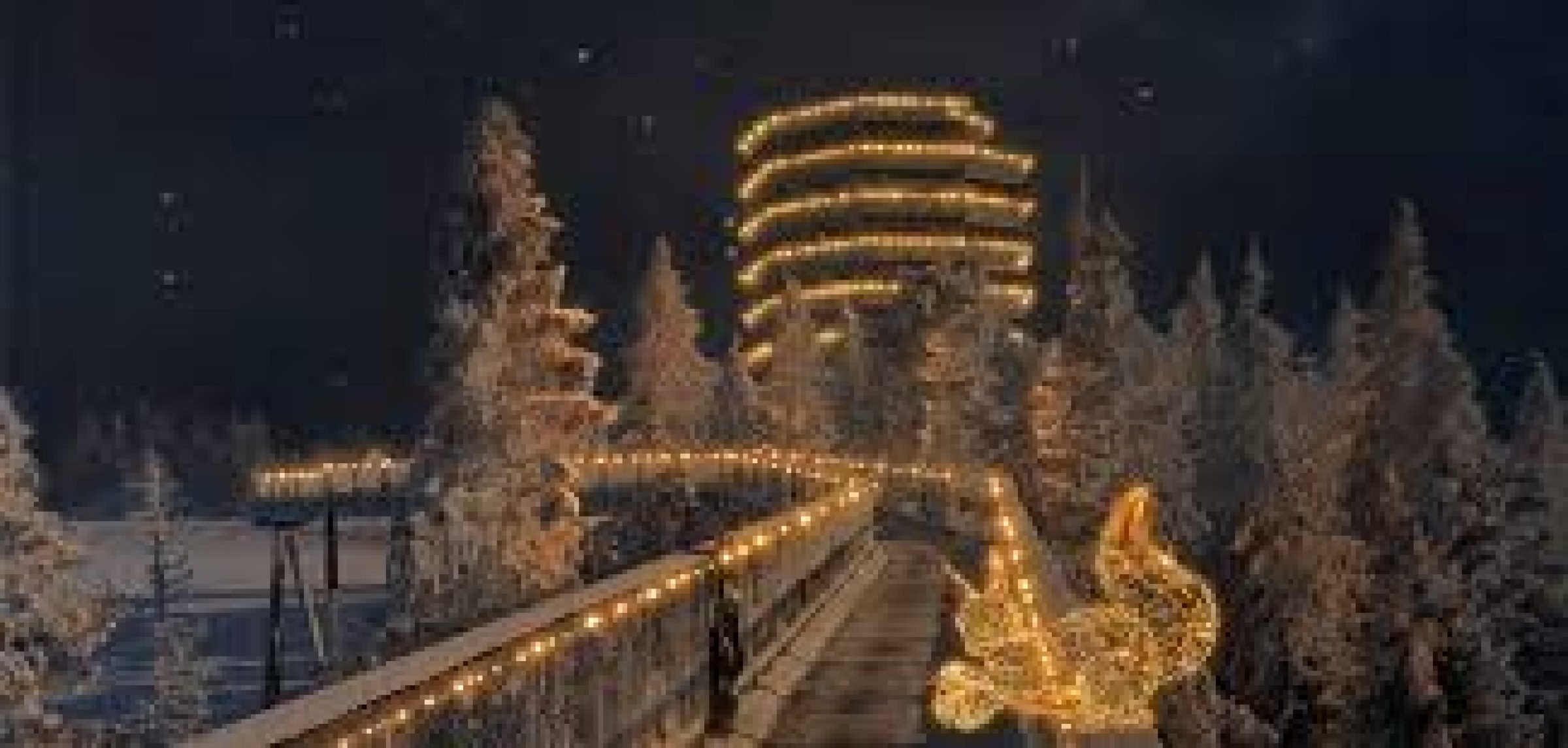 Ogled povečano sliko Pot med krošnjami Pohorje