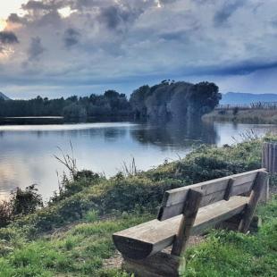 Ogled povečano sliko Ribnik Vrbje