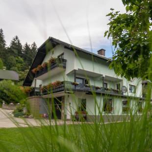 Ogled povečano sliko Apartma Orel