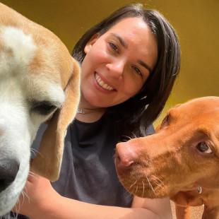 Ogled povečano sliko Pasji hotel in salon za pse Canis