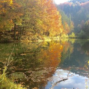 Ogled povečano sliko Ribnik Prebold