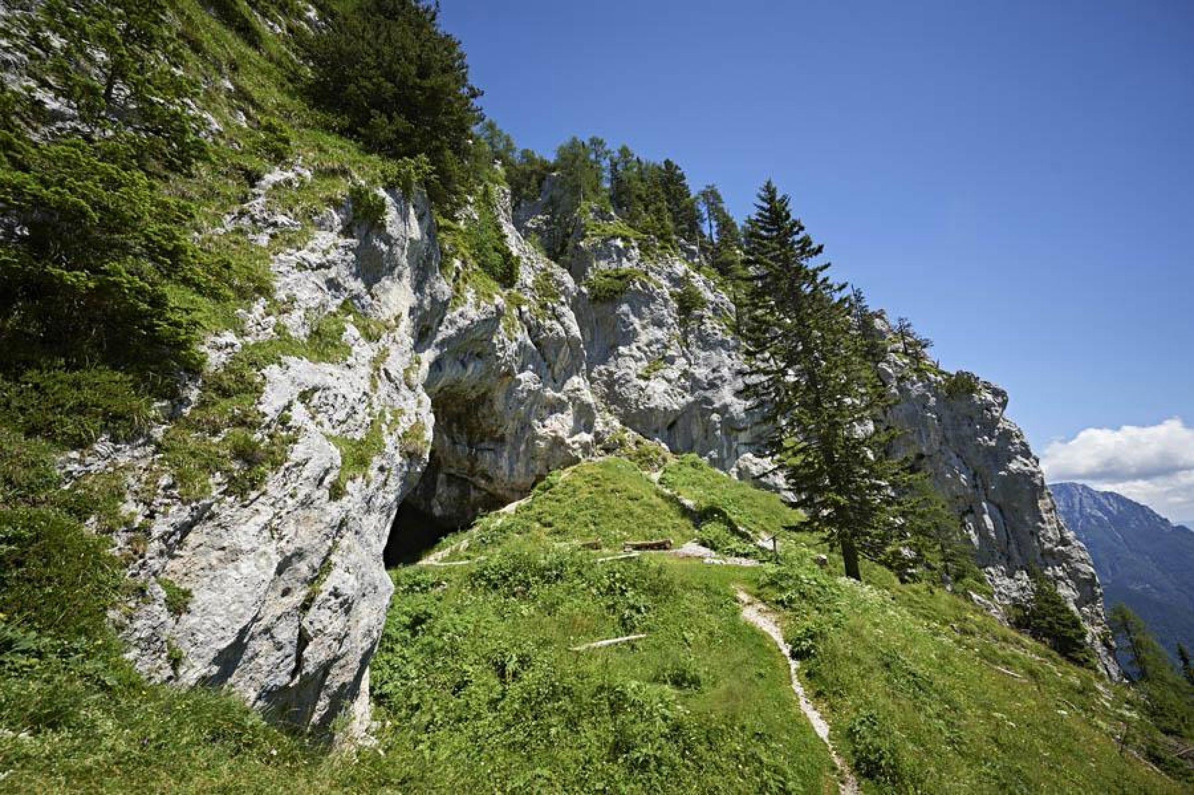 Ogled povečano sliko Potočka zijalka