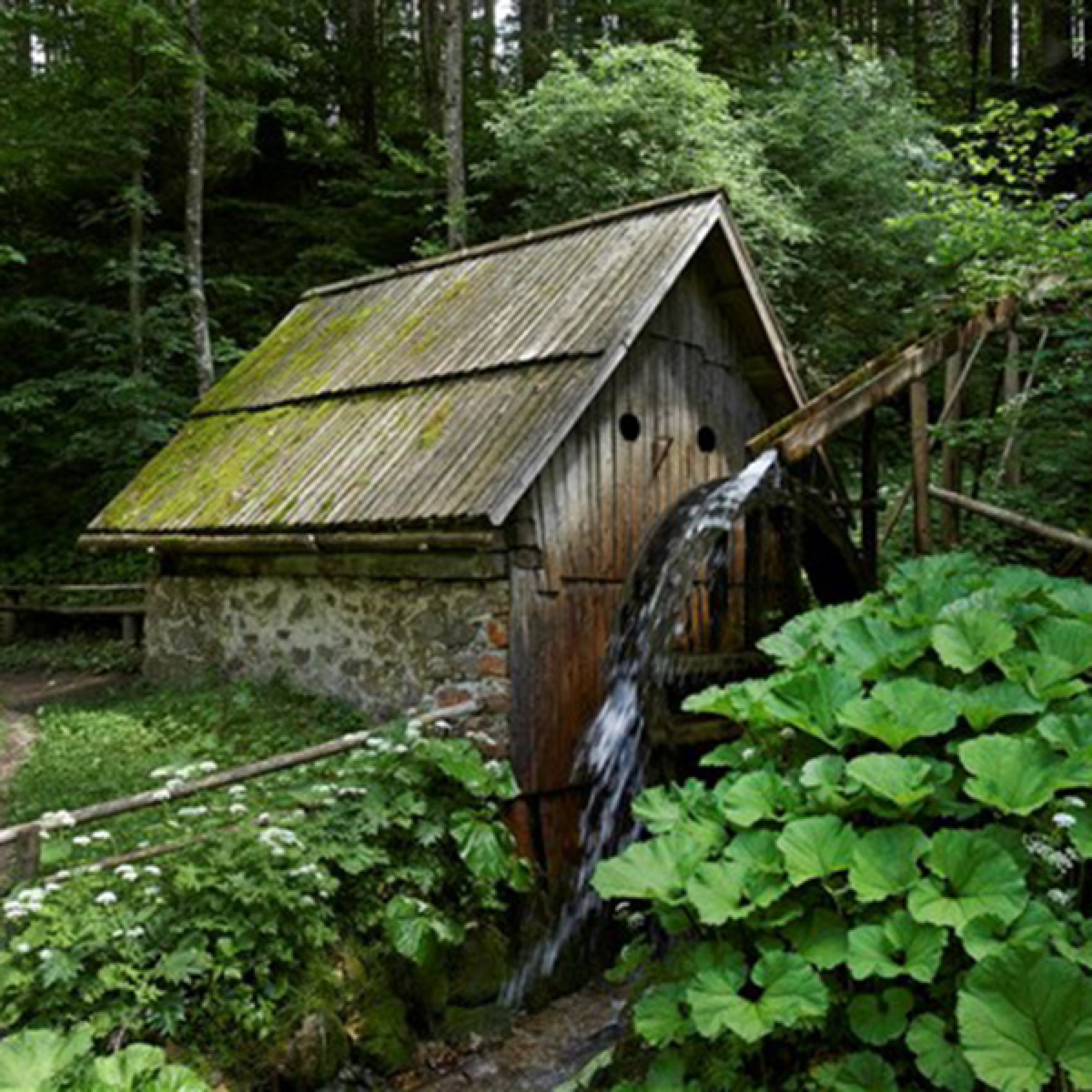 Ogled povečano sliko Žagerski mlin
