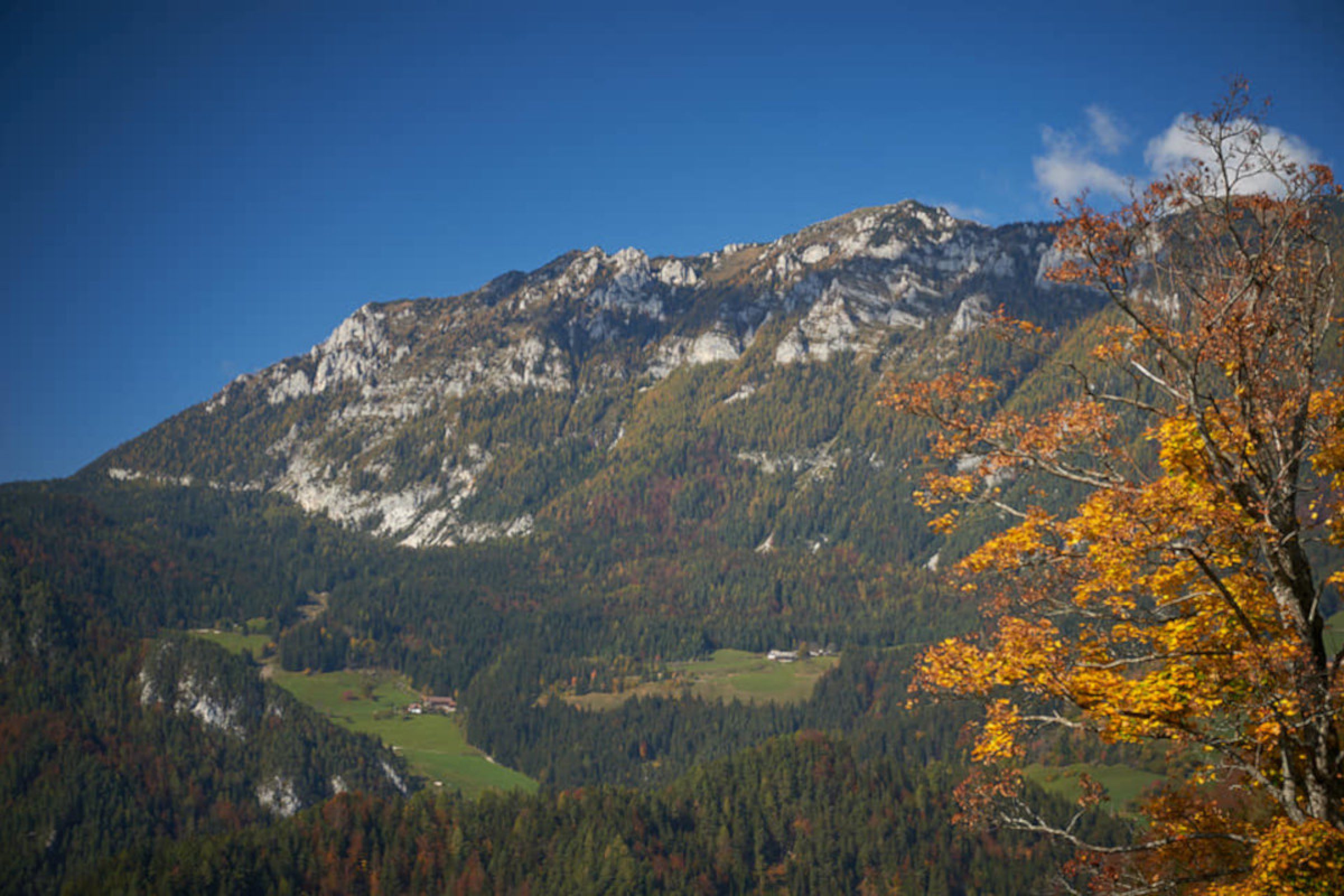 Ogled povečano sliko Hiška Osojnik