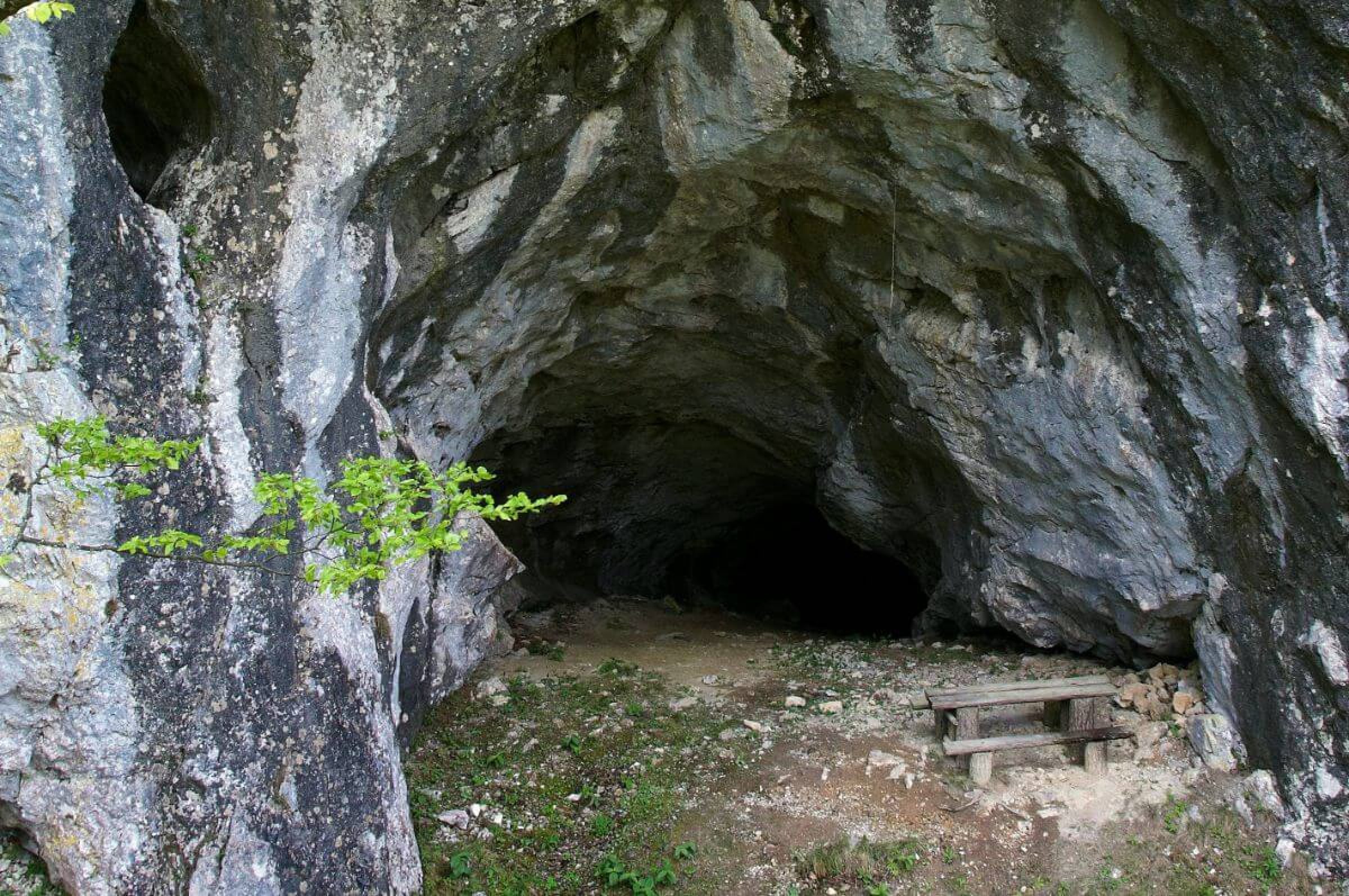 Ogled povečano sliko Erjavčeva jama