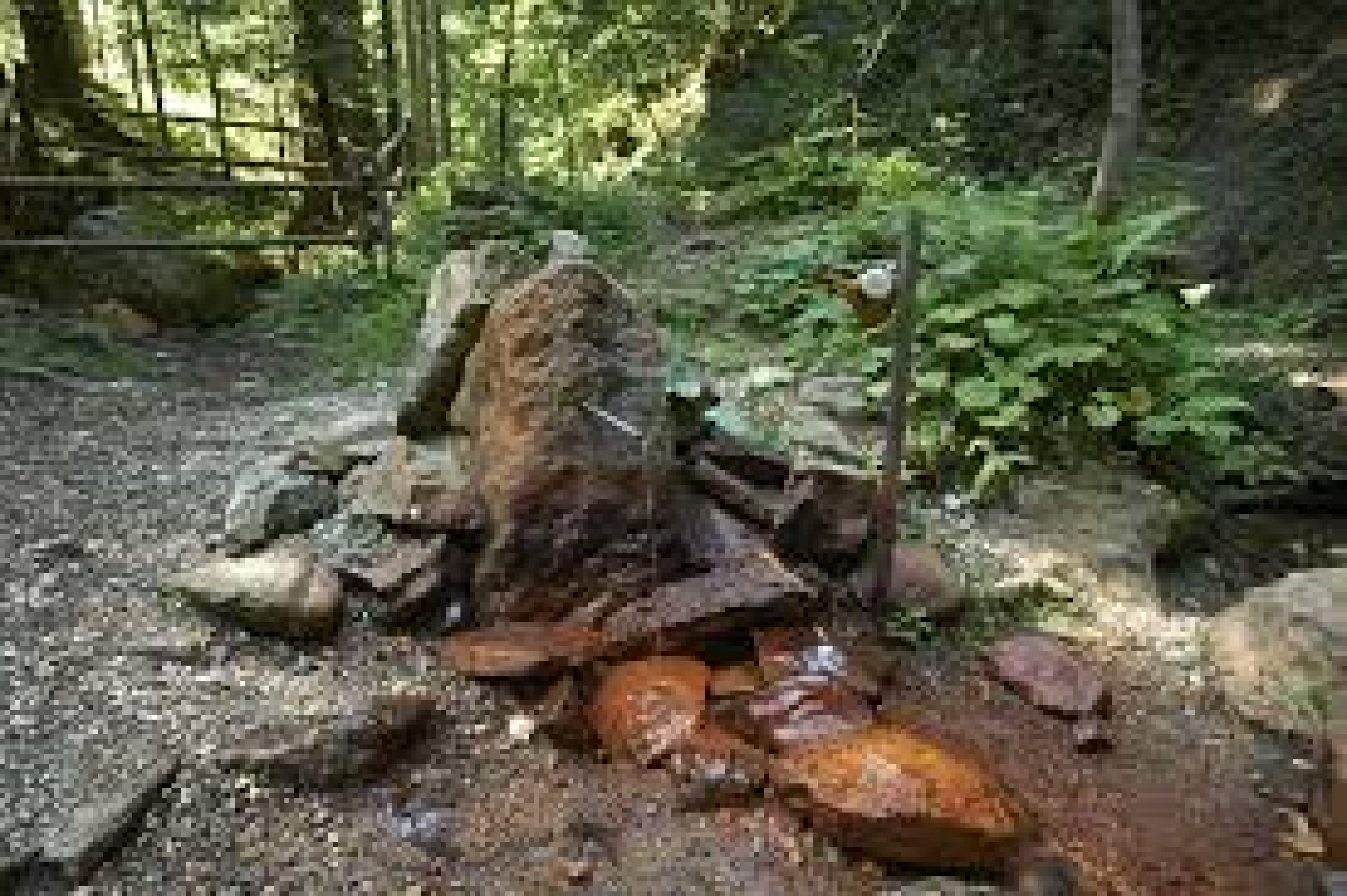 Ogled povečano sliko Izvir kisle vode