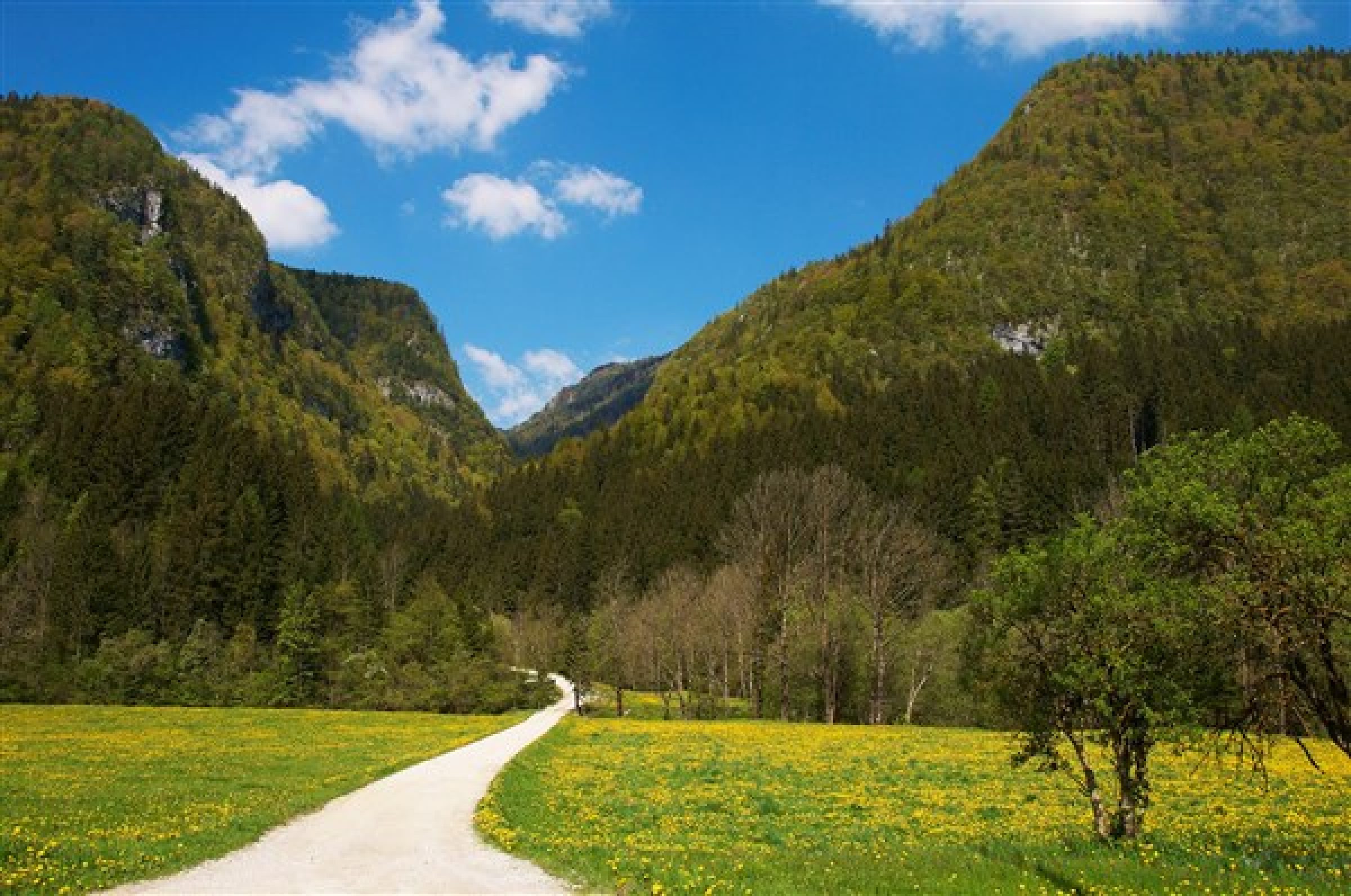 Ogled povečano sliko Dolina Lučke Bele