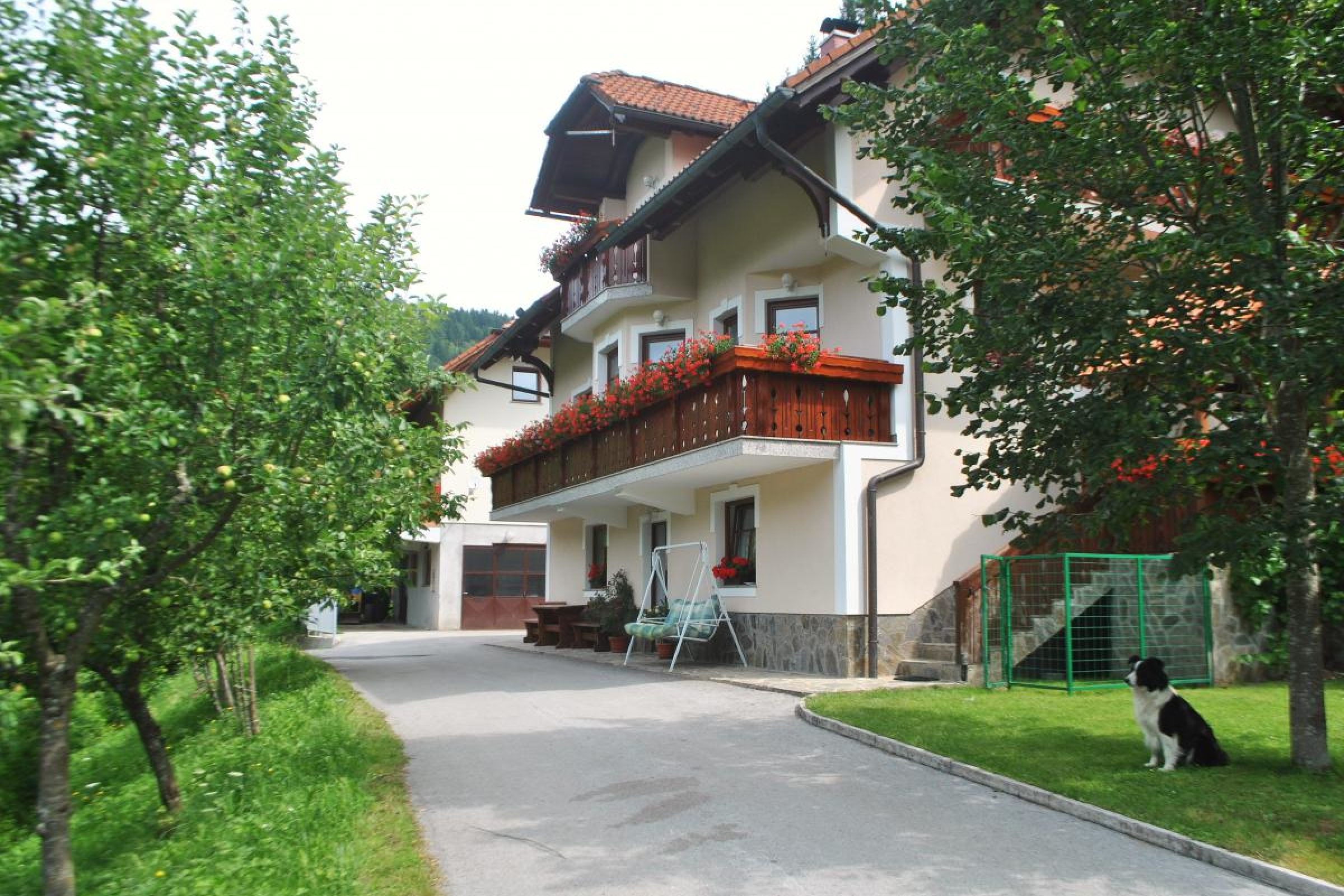 Ogled povečano sliko Apartmaji Savinja