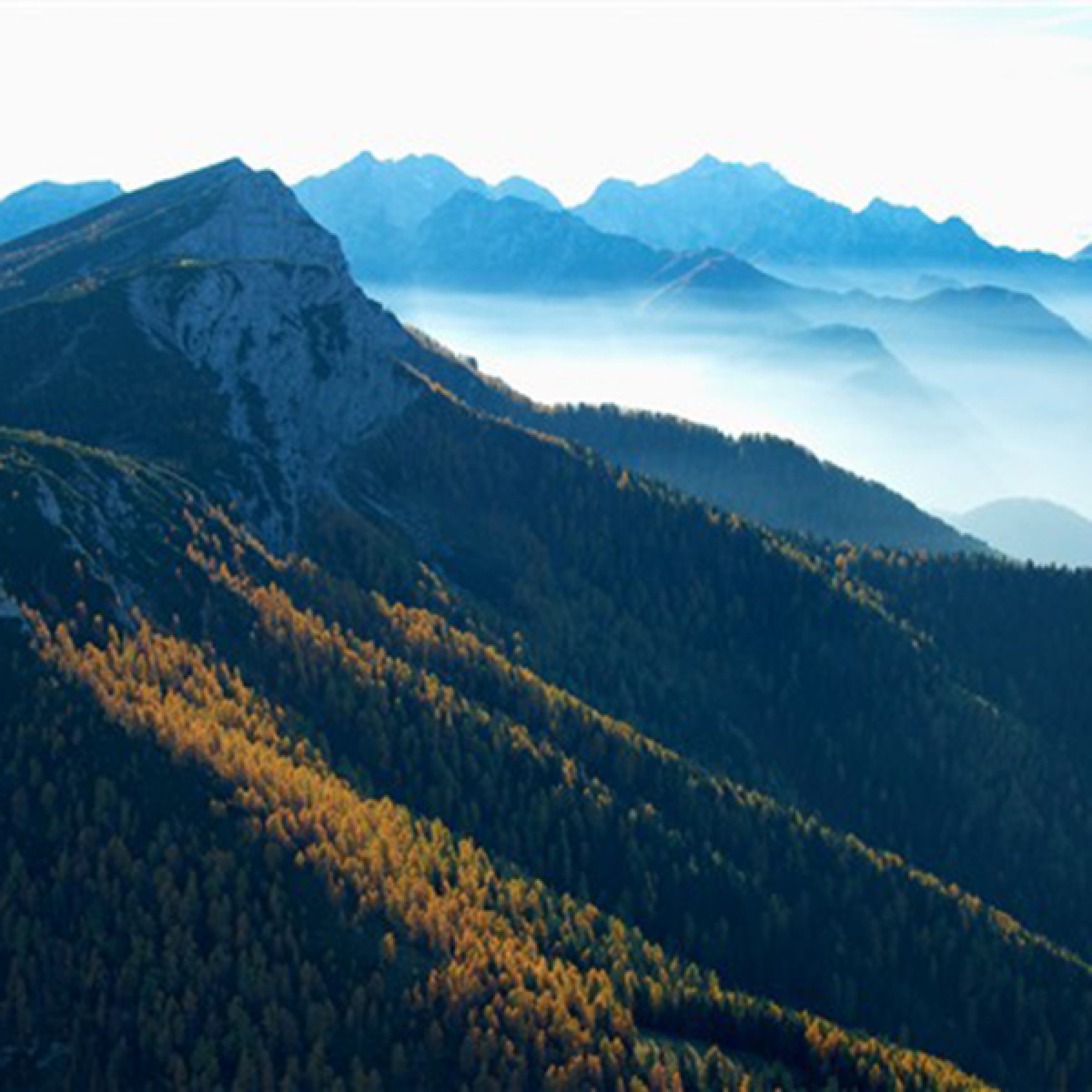 Ogled povečano sliko Raduha