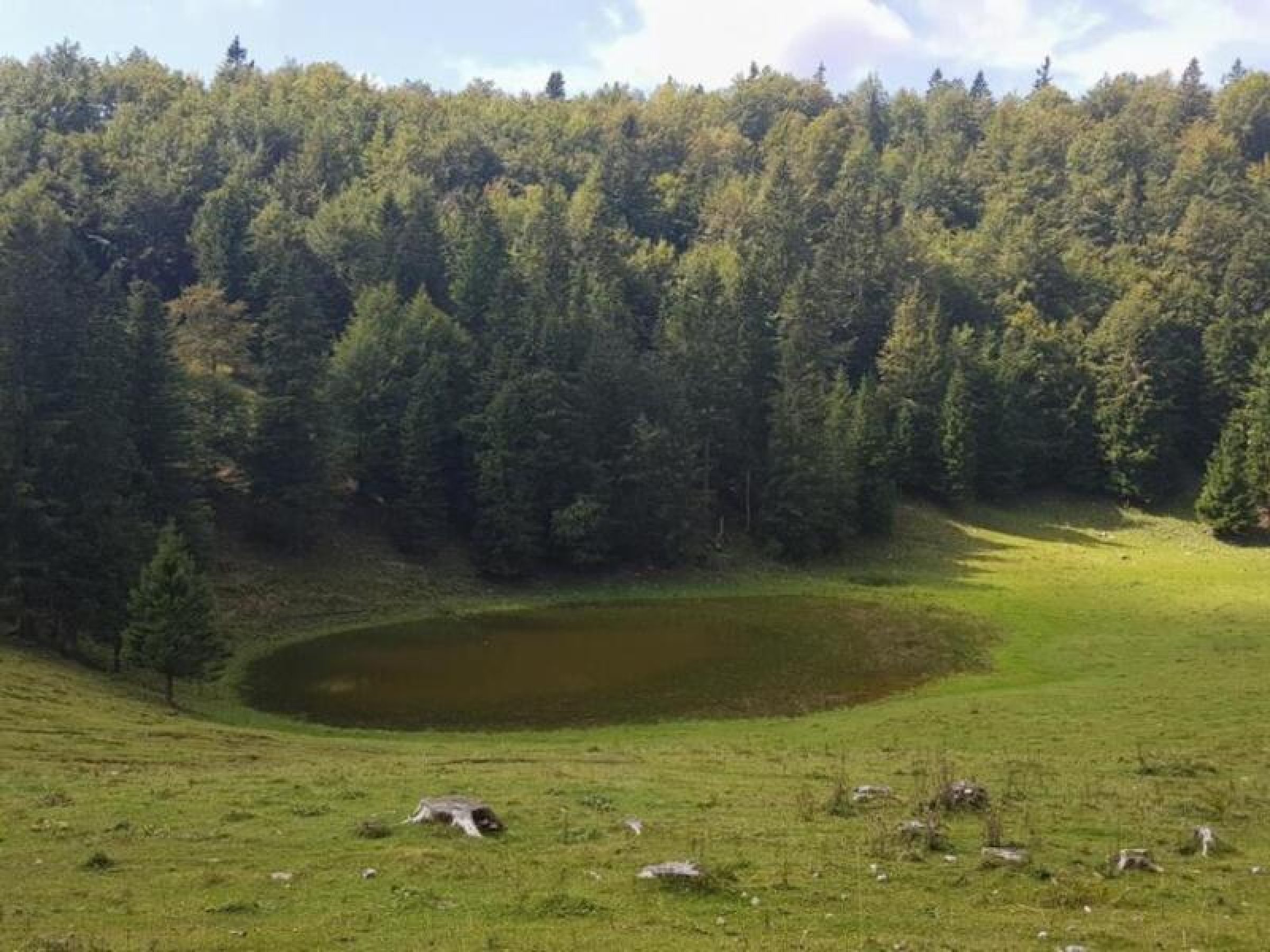 Ogled povečano sliko Jezero Biba
