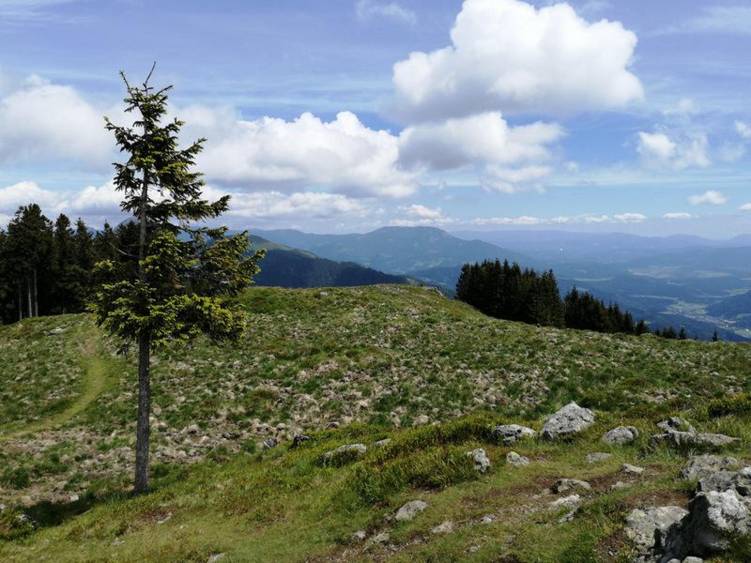 Ogled povečano sliko Kašna planina