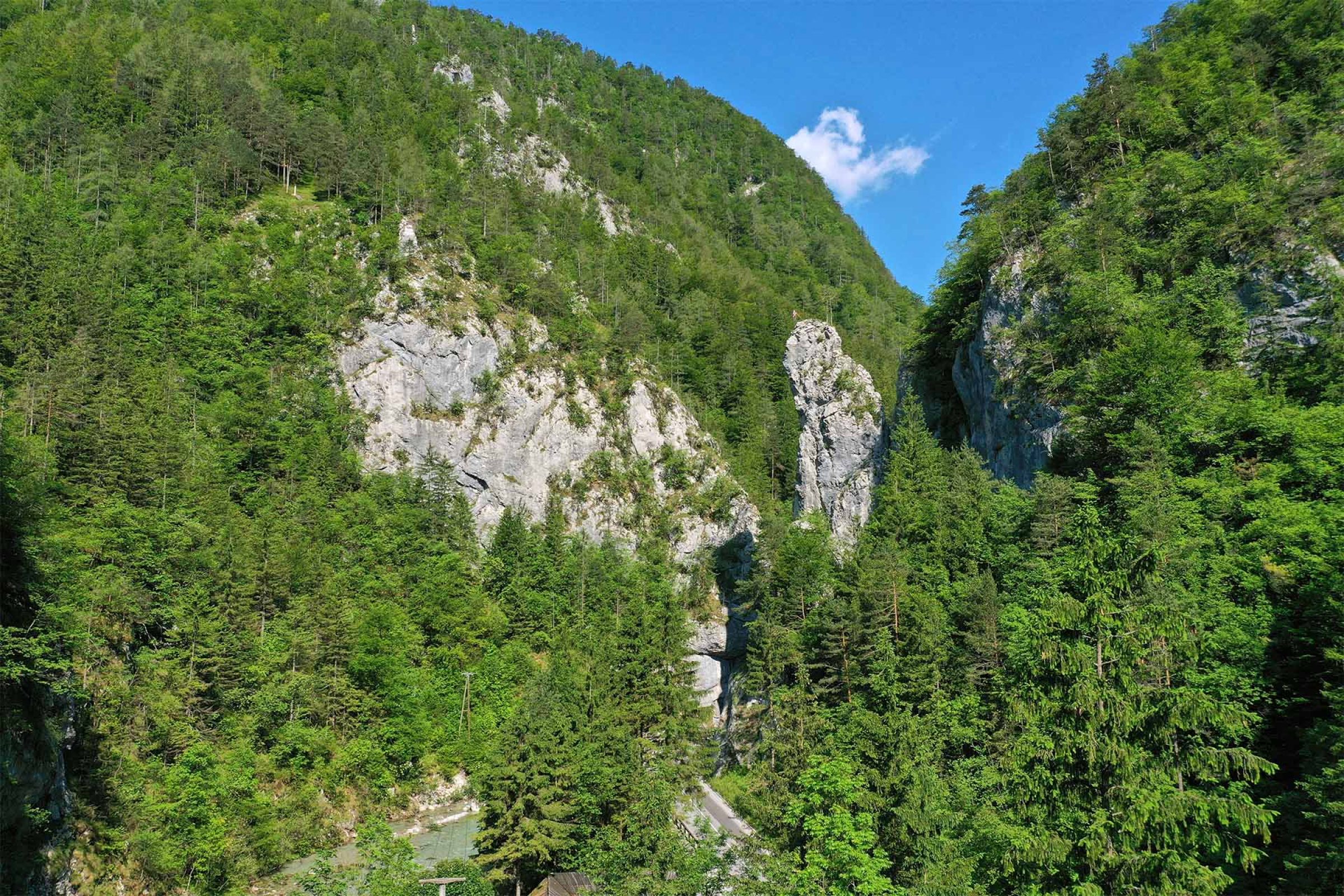 Ogled povečano sliko Igla