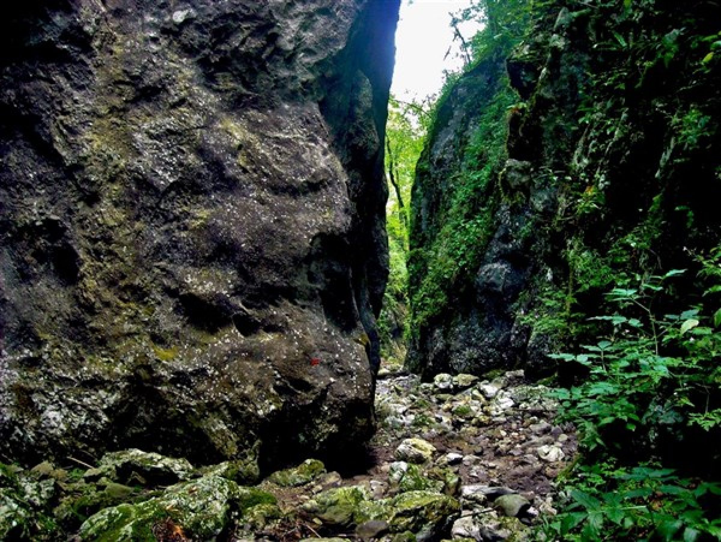 Ogled povečano sliko Soteska Brložnice