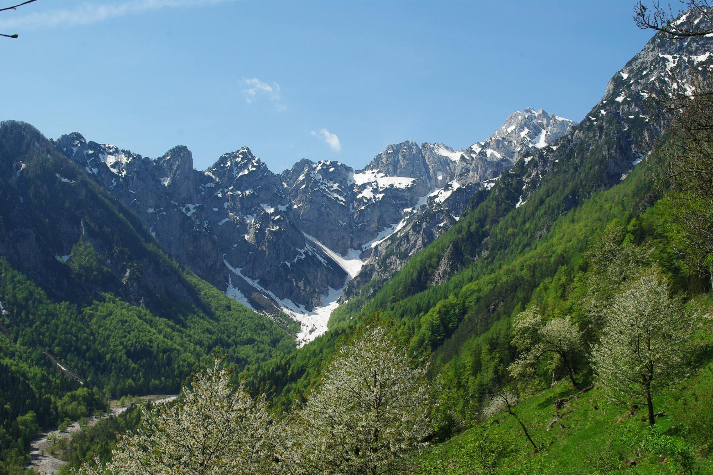 Ogled povečano sliko Matkov kot