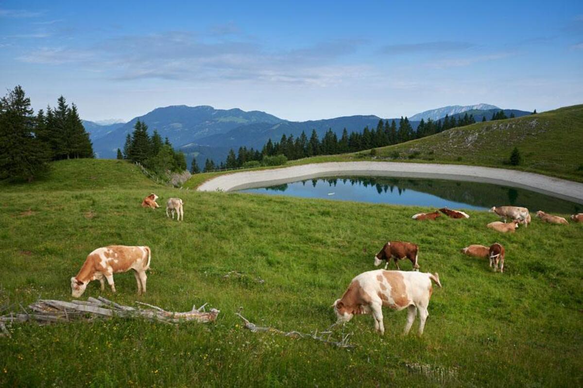  Golte – landscape park 