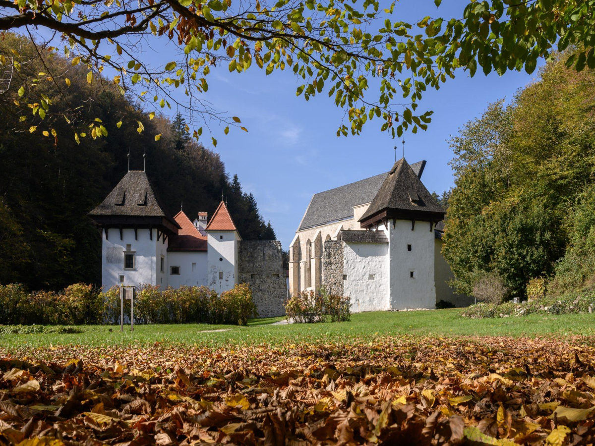  Žiče Charterhouse 