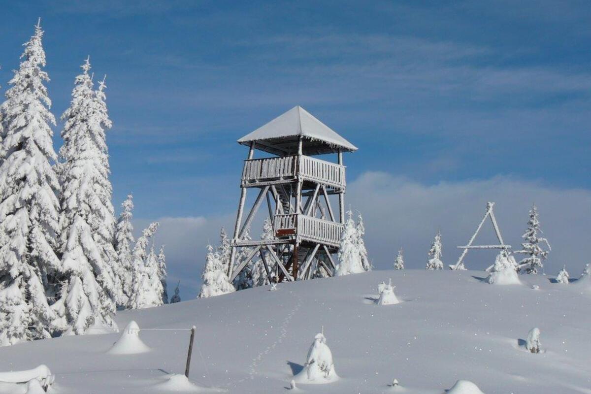  Veliki Travnik and the Lookout Tower on Turnovka 